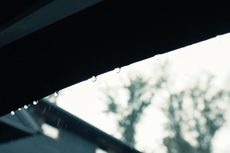 Low angle view of wet umbrella against sky