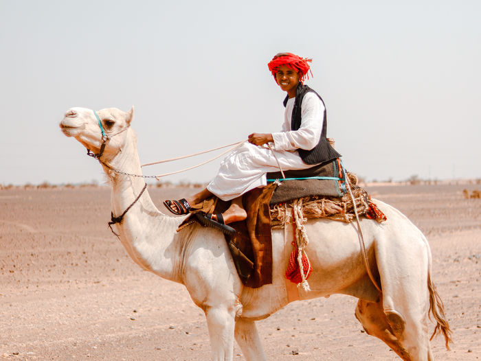 Rear view of man riding horse on field against clear sky