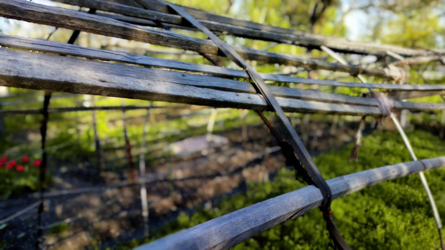 Close-up of fence against blurred background