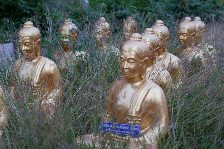 Statues on field