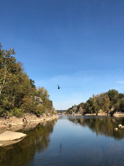Birds flying over river against clear blue sky