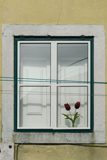 Flower vase on window of building