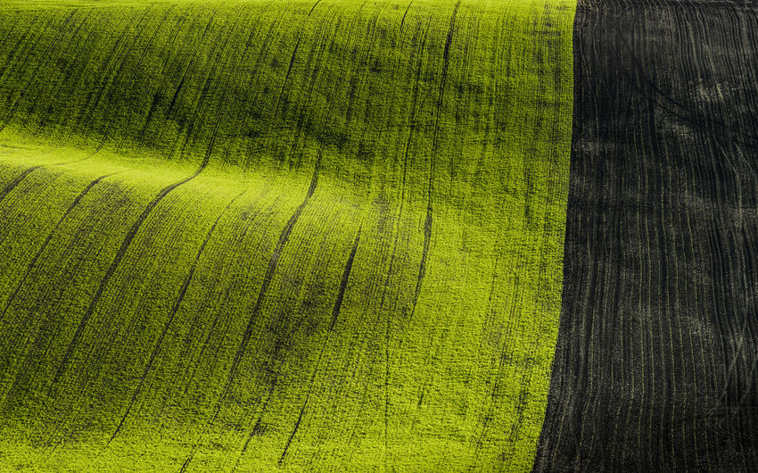 Idyllic abstract view of green rolling hills near kyjov, hodonin district, south moravian region, moravia, czech republic
