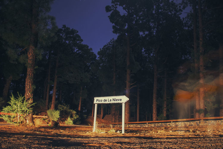 Information sign by trees in forest against sky at night