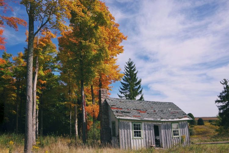 Trees and abandoned  house on field against sky during autumn