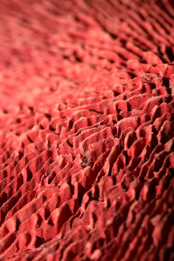 Full frame shot of red rug