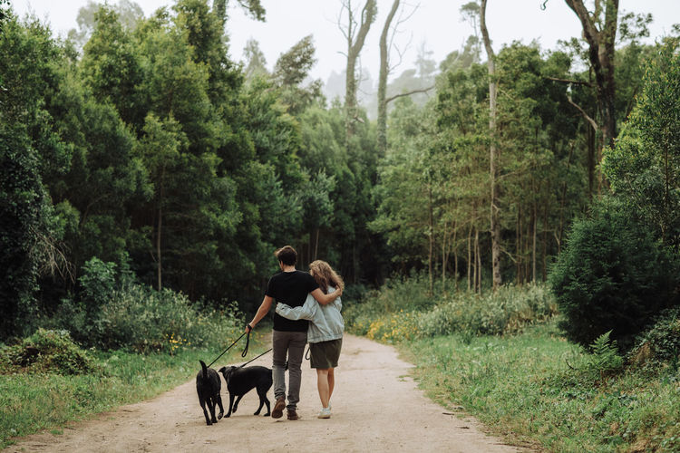 Rear view of couple walking dogs on a leash down a path in the forest