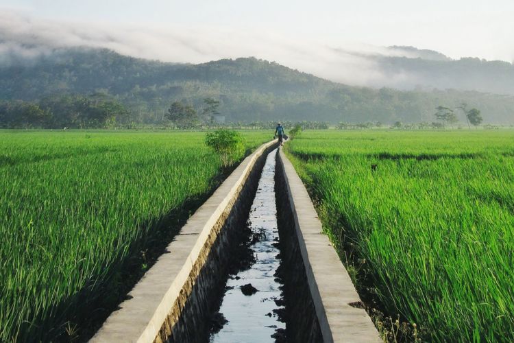 Gutter amidst agricultural field against sky