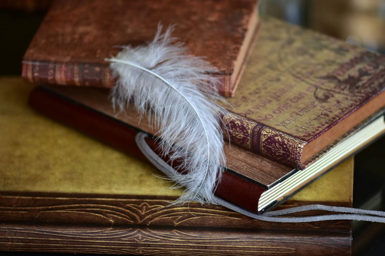 Close-up of feather and books on table