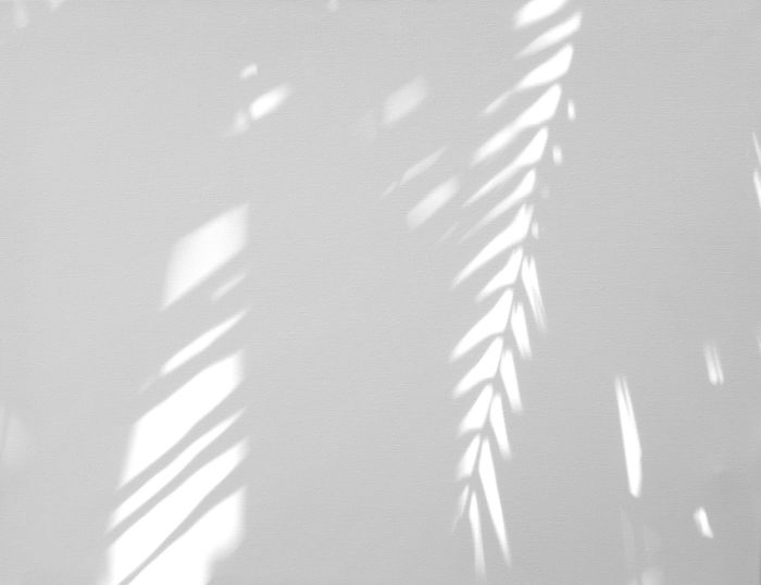 High angle view of shadow falling on wall