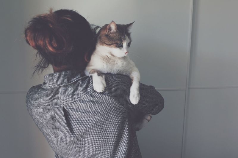 Rear view of woman carrying cat against wall