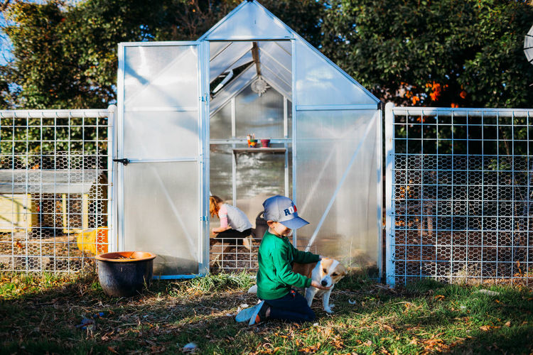 Young boy petting dog in front of back yard greenhouse in spring