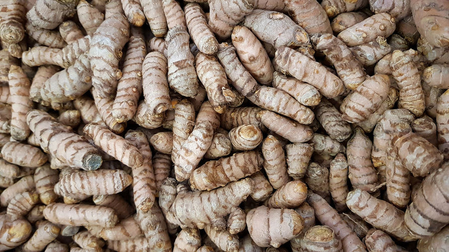 Fresh raw turmeric curcuma longa on sale on local market, used in cooking and making curries
