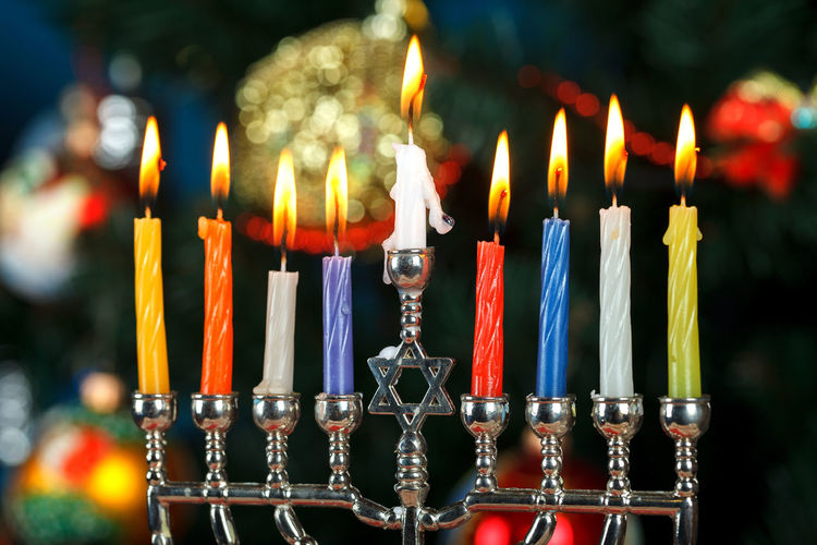 Menorah with candles for hanukkah on the background of the new year tree