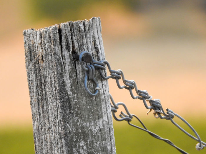 Close-up of chain on wooden fence
