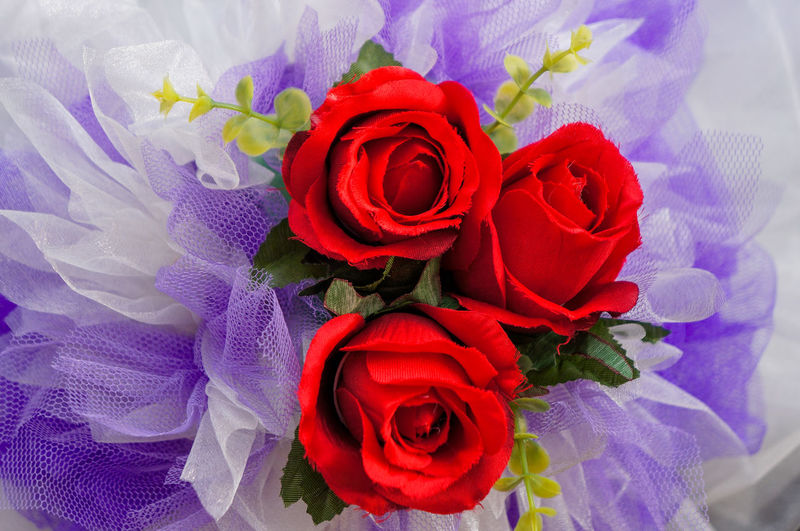 Close-up of rose bouquet