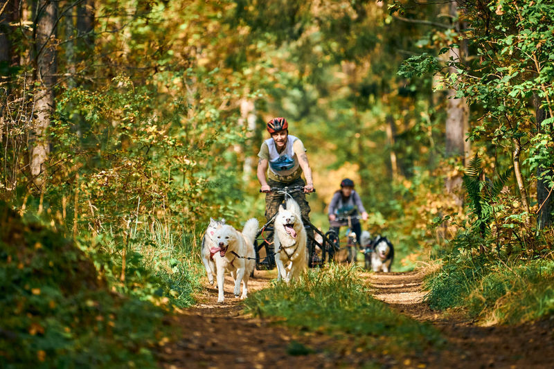 People with dog in forest