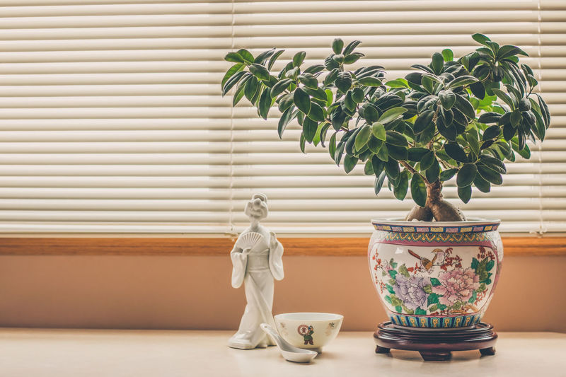 Statue of potted plant at home