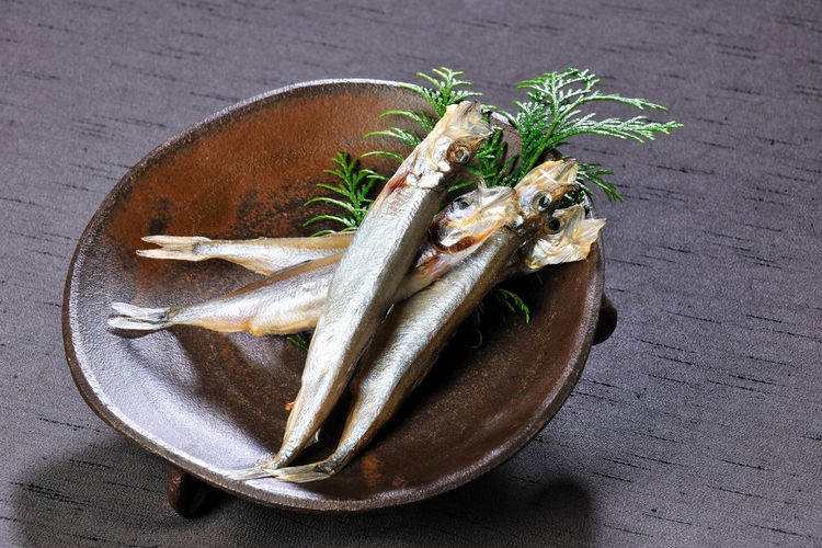 Close-up of fish in bowl
