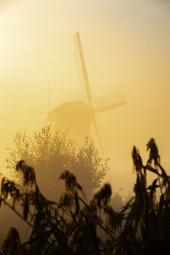 Low angle view of silhouette plants und traditionell windmill against sky during sunset, kinderdijk 