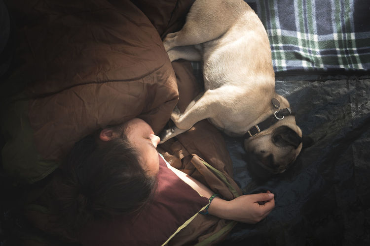 High angle view of mid adult woman sleeping with pug in tent