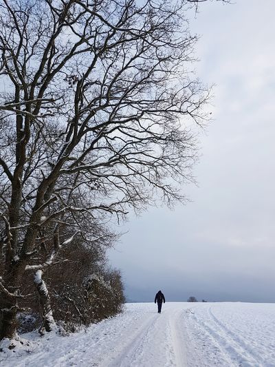 Rear view of person walking on snow covered land