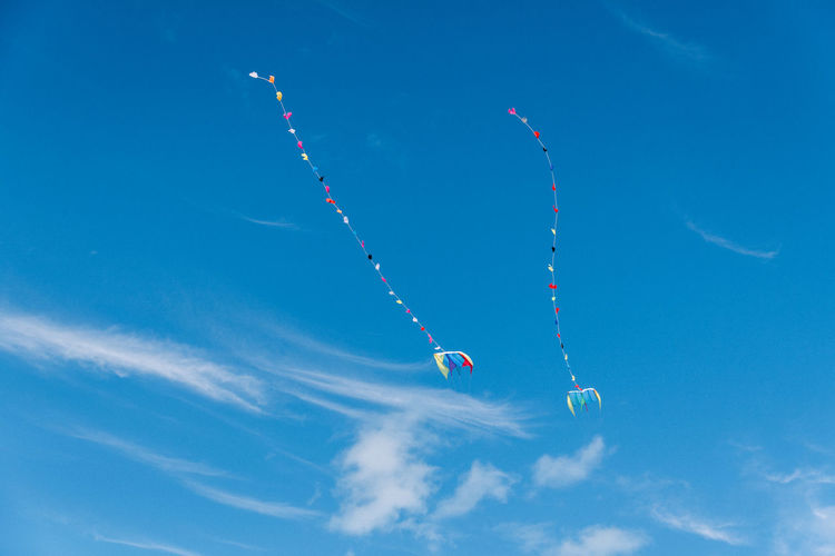 Two kites two of a kind twin kites free in the sky