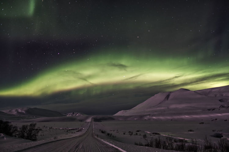 aurora