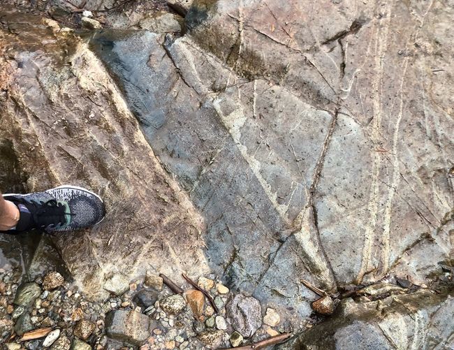 Low section of person standing on rock