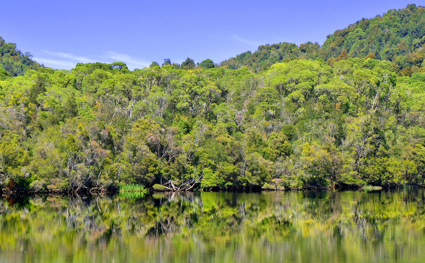natural environment