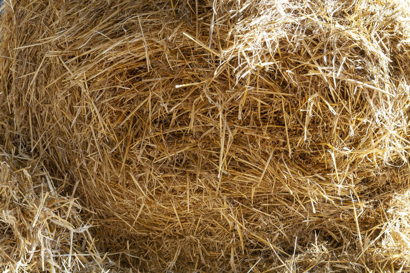 Full frame shot of hay bales on field