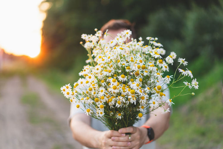 A man is holding a bouquet of white field daisies.