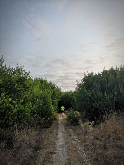 Rear view of person walking on road amidst trees against sky