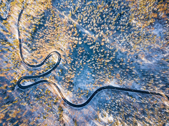 High angle view of snake on water
