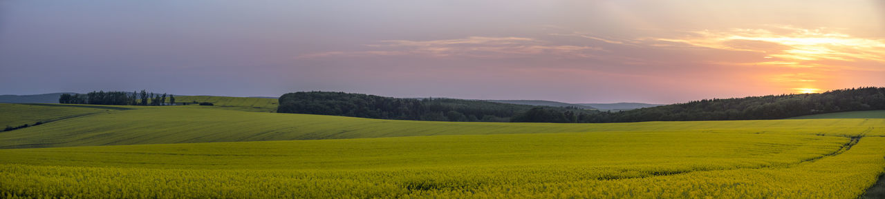 Scenic view of agricultural field against sky during sunset