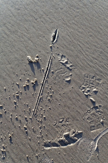 High angle view of footprints on beach