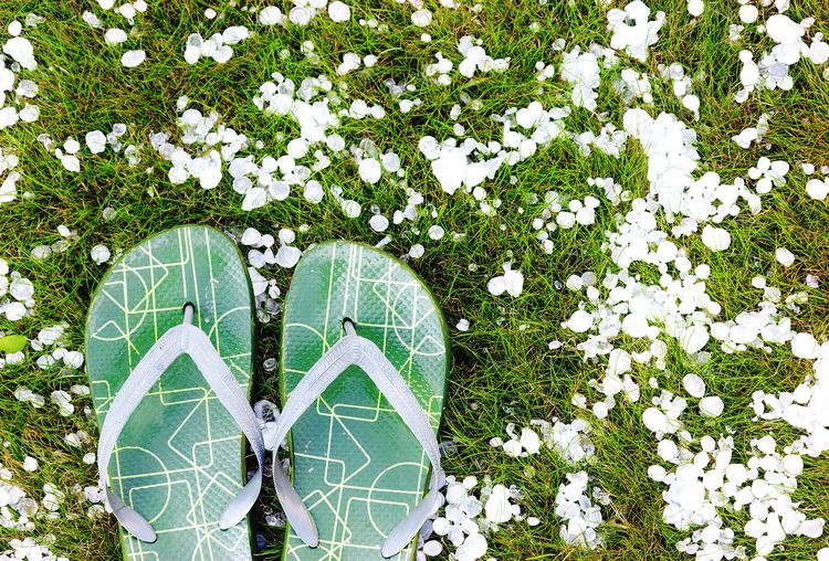 Directly above shot of flip-flop on grassy field