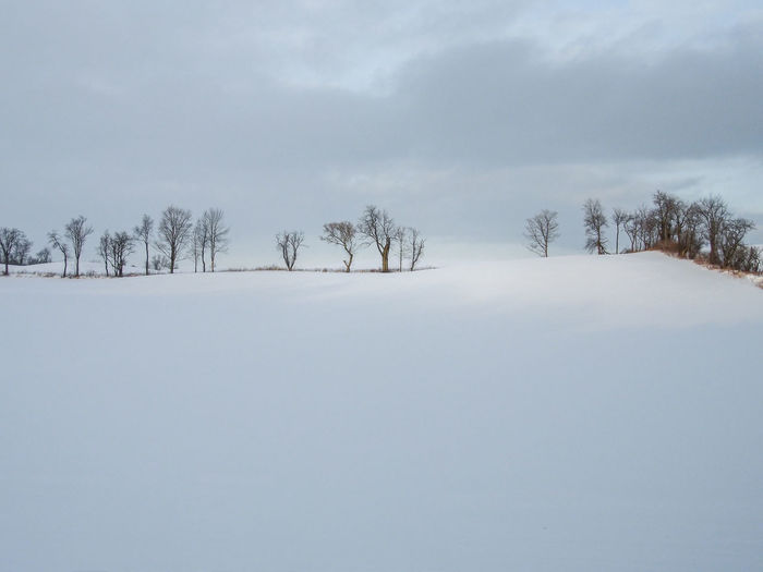 Snow covered land and trees against sky during winter