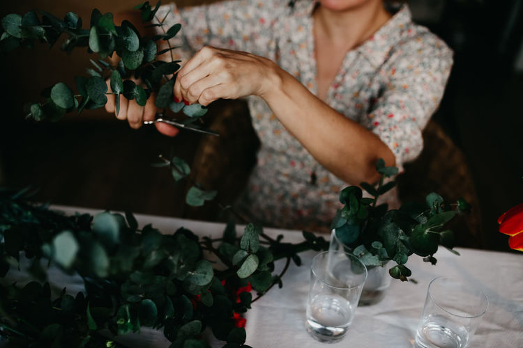 Unrecognizable female with scissors cutting stems of plant with lush green foliage while sitting at table with glasses at home