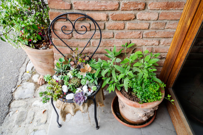 High angle view of potted plants