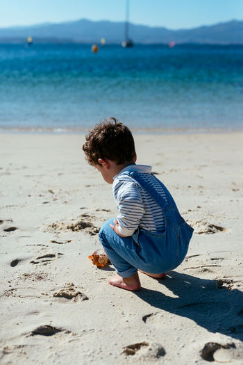 Back view of adorable curly boy in denim overall holding pile of picked seashells while spending summer day on seashore