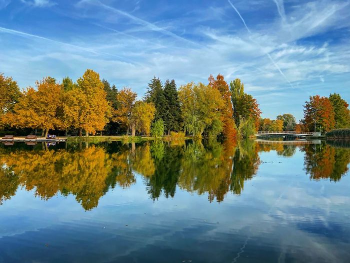 Reflection of trees on lake during autumn