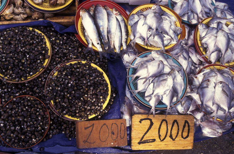 High angle view of fishes for sale at market stall