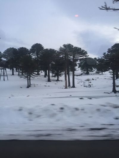 Scenic view of snow covered landscape
