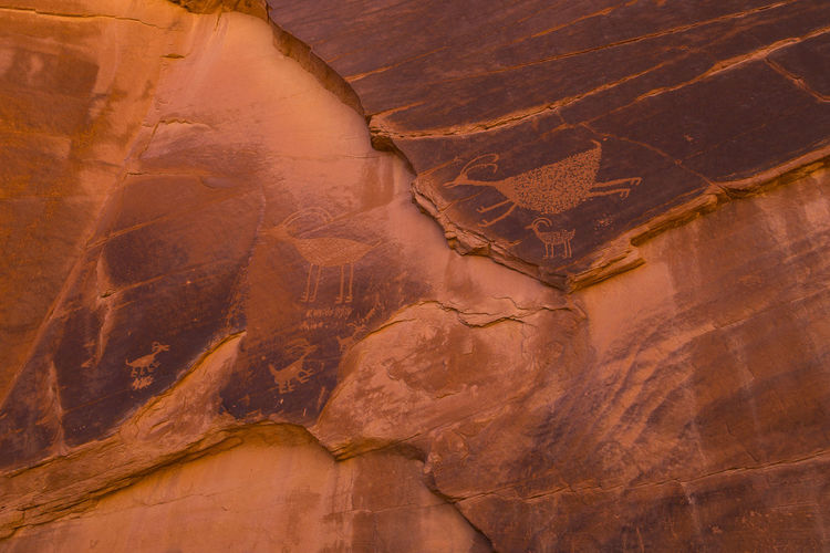 Bighorn sheep petroglyph on red rock in the monument valley navajo tribal park 