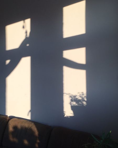 shadow