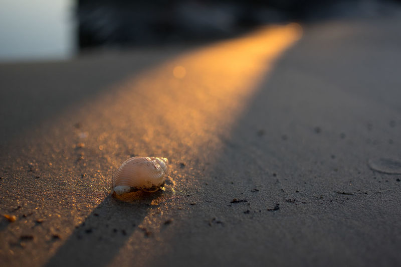 Surface level of road