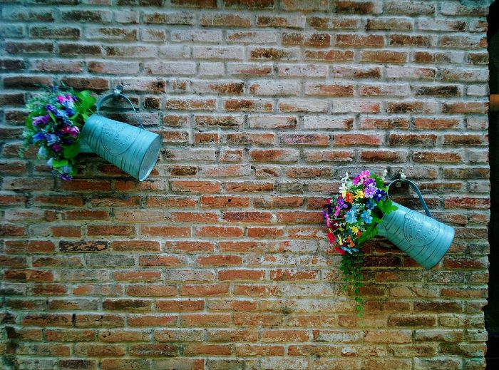 Flowers and plants against brick wall