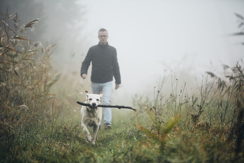 Mid adult man with dog walking on grassy field during foggy weather