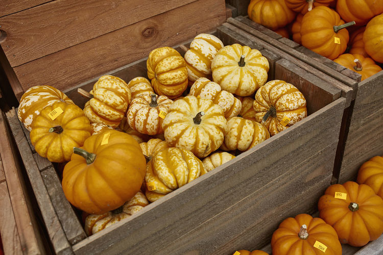 High angle view of pumpkins in crate